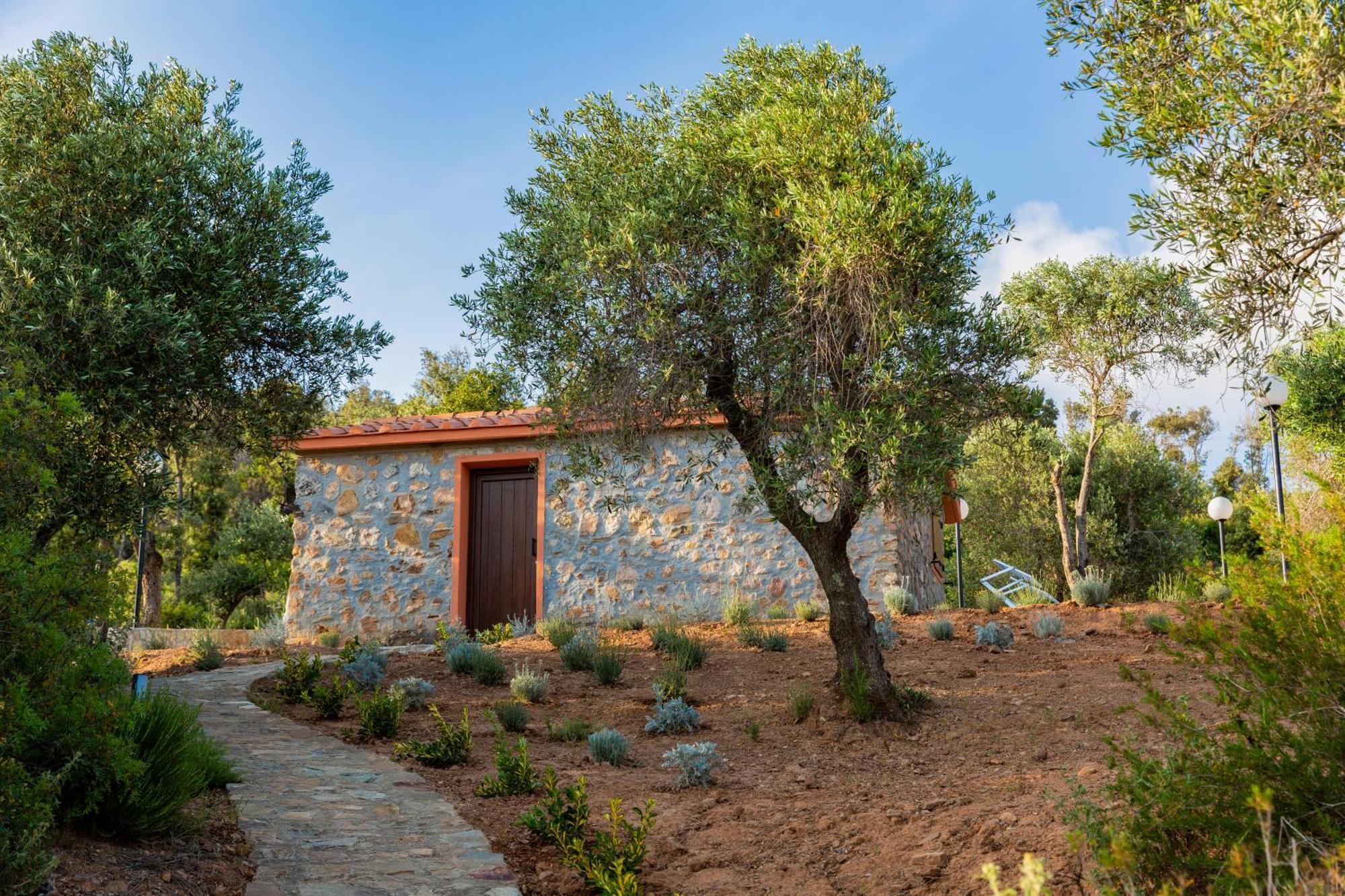 Azienda Agricola Club Le Cannelle Talamone Exterior foto